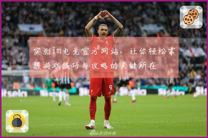 实测im电竞官方网站,让你轻松掌握游戏技巧与攻略的关键所在