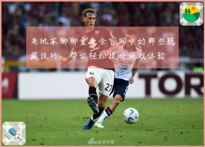 老玩家聊聊金年会官网中的那些隐藏技巧，帮你轻松提升游戏体验